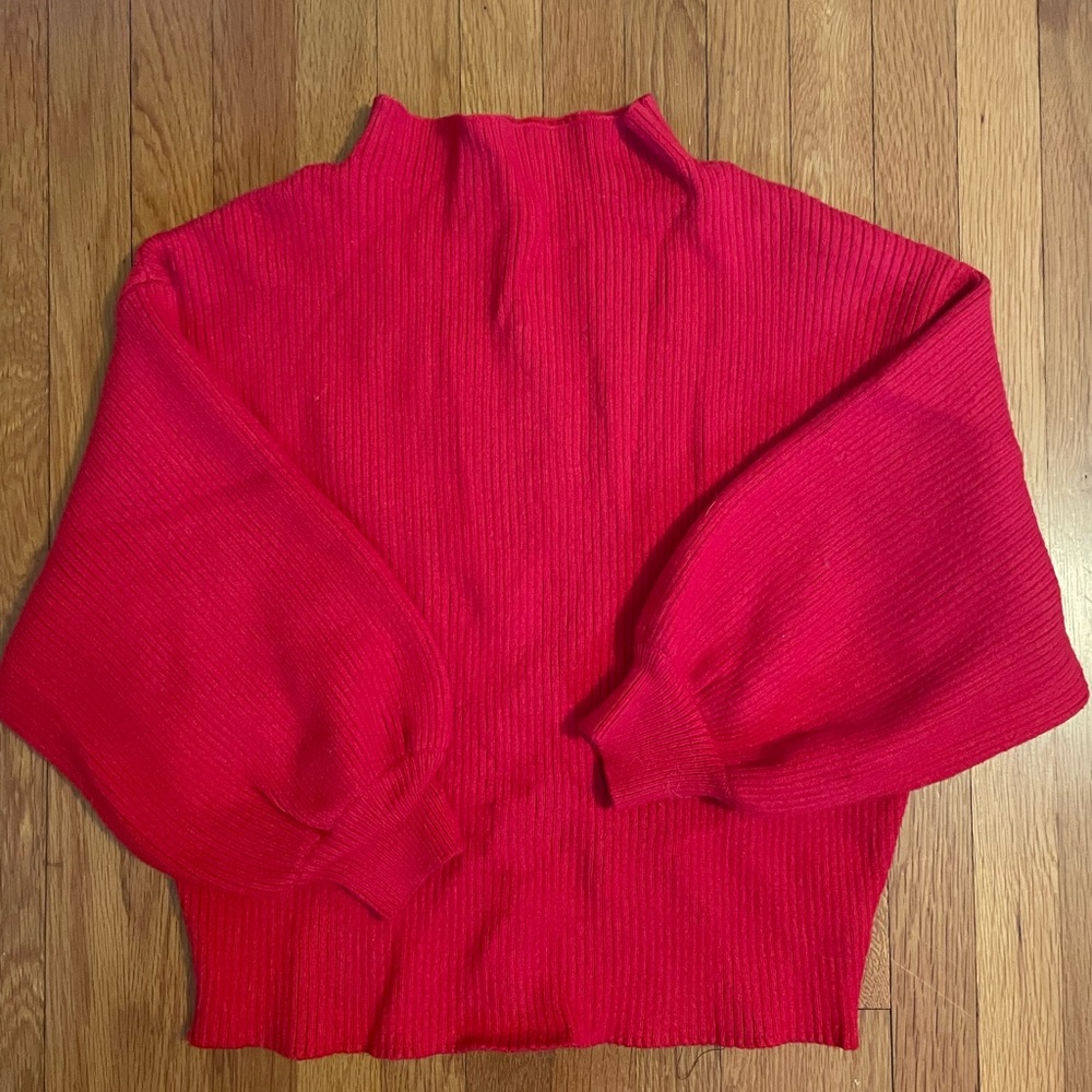 Red Anthropologie sweater , Line & Dot